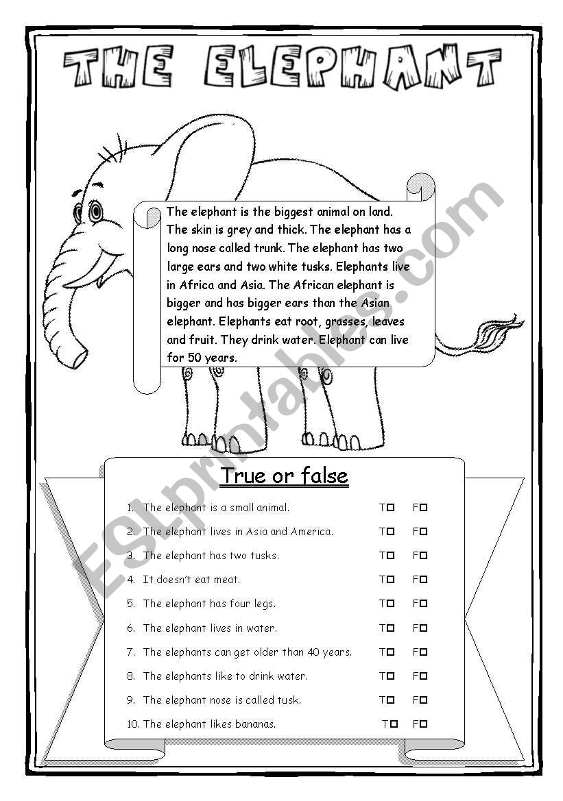 The elephant - part 1/2 - 3 WS + key