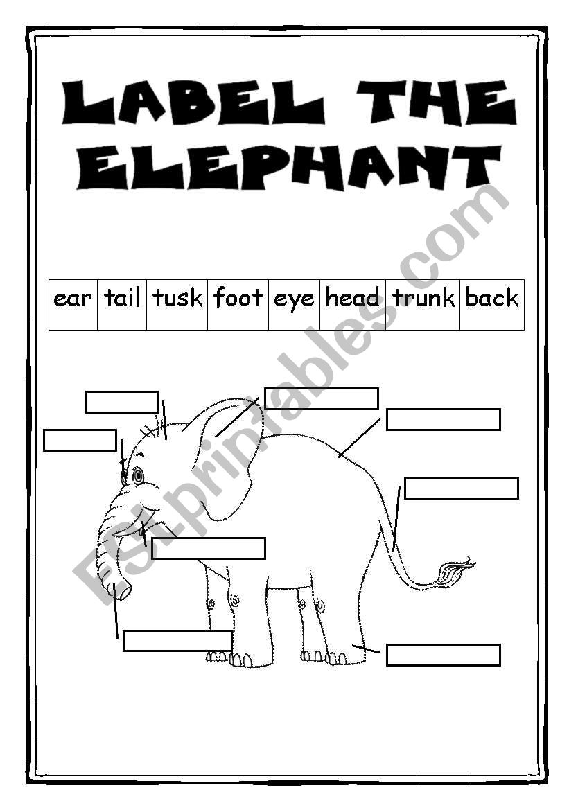 The elephant - part 2/2 - 2 WS + key