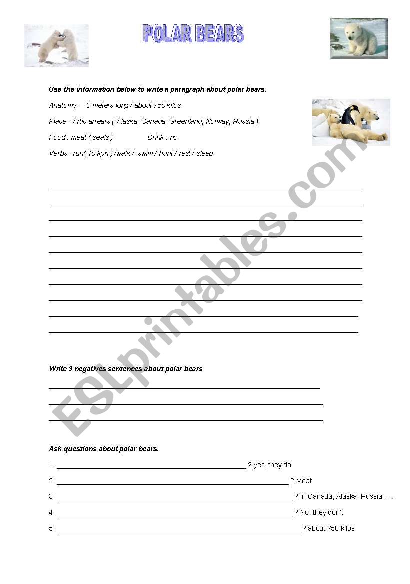 polar bears worksheet