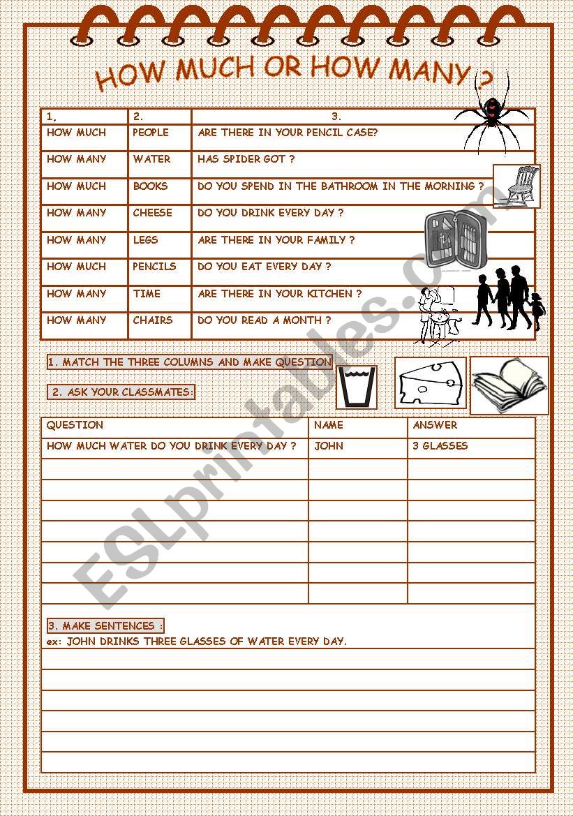 HOW MUCH OR HOW MANY ? worksheet