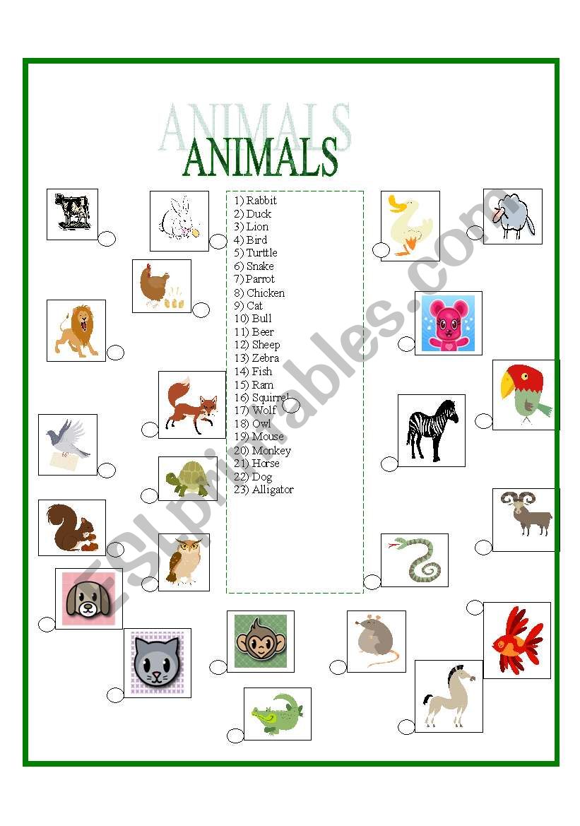 Animals worksheet