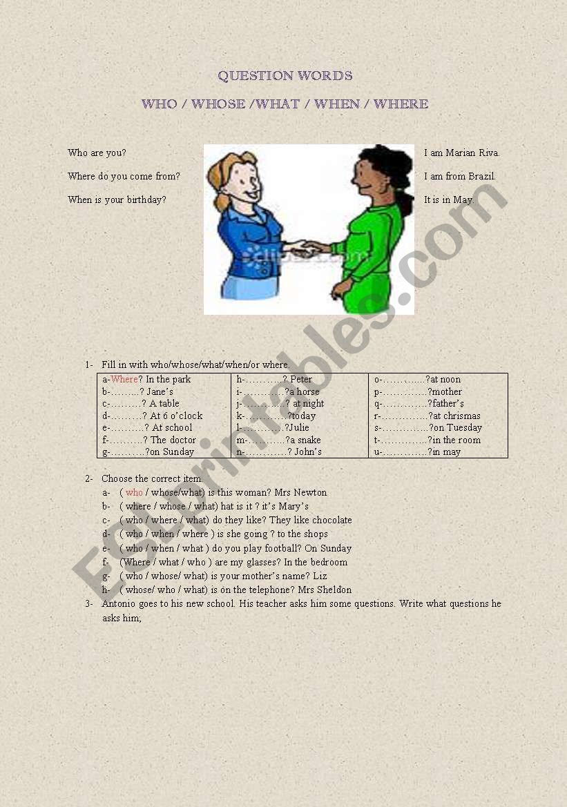 question words worksheet