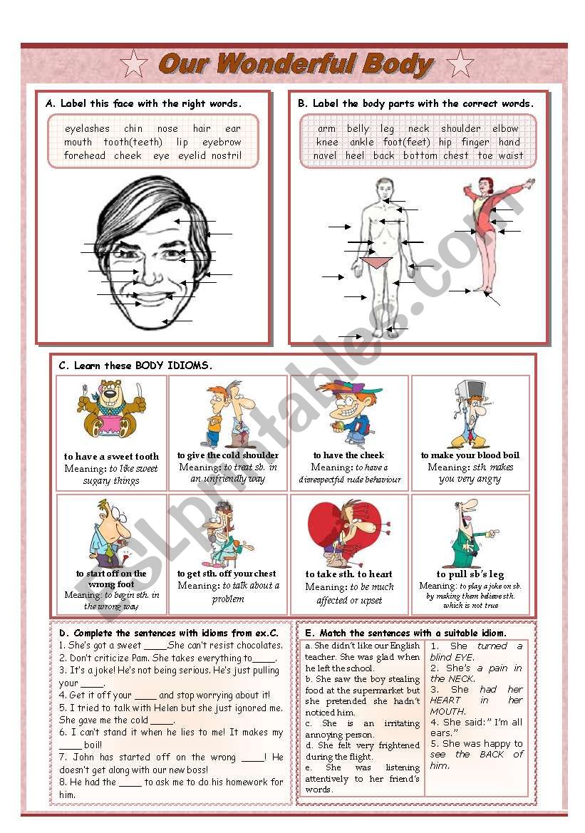 BODY PARTS AND BODY IDIOMS worksheet