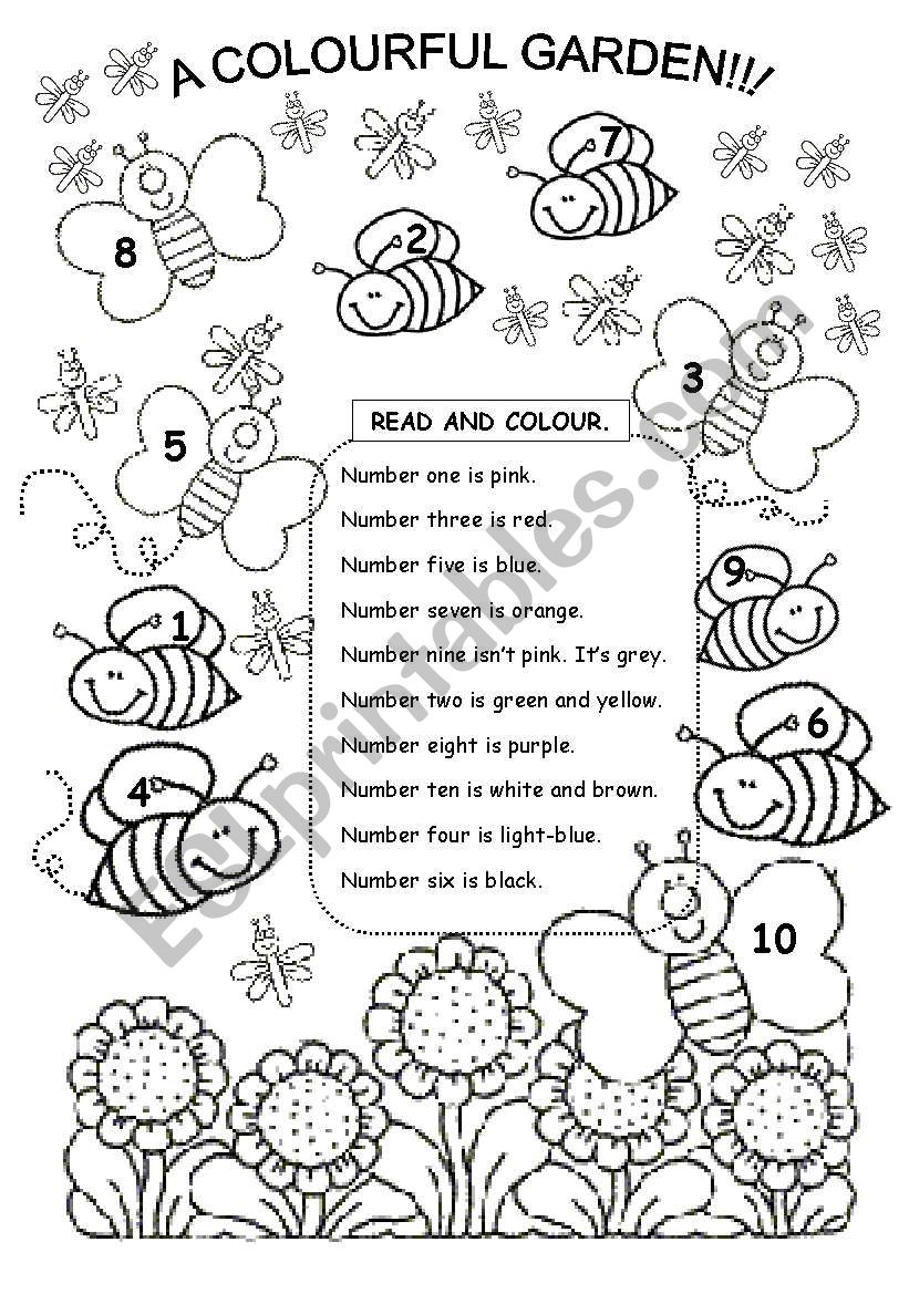 Lets colour the bees & butterflies!!!