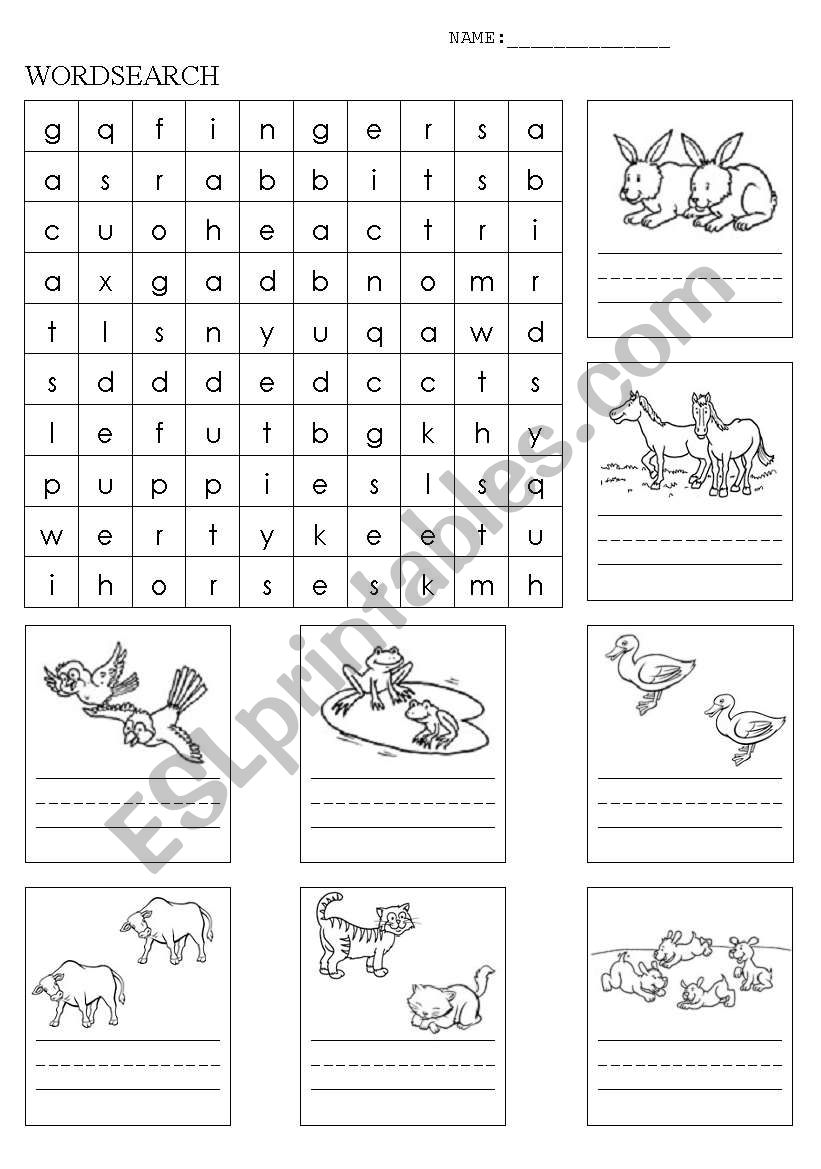 Anamals Wordsearch worksheet