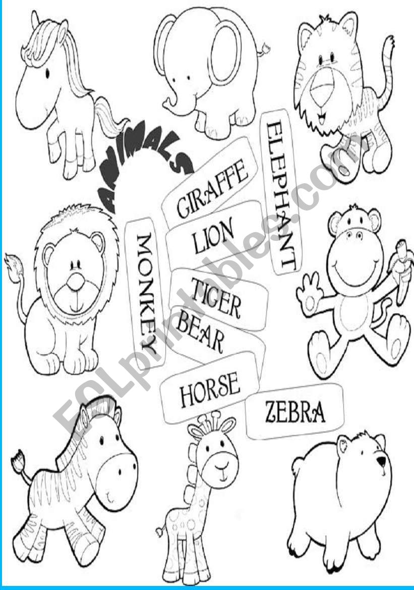 animals worksheet