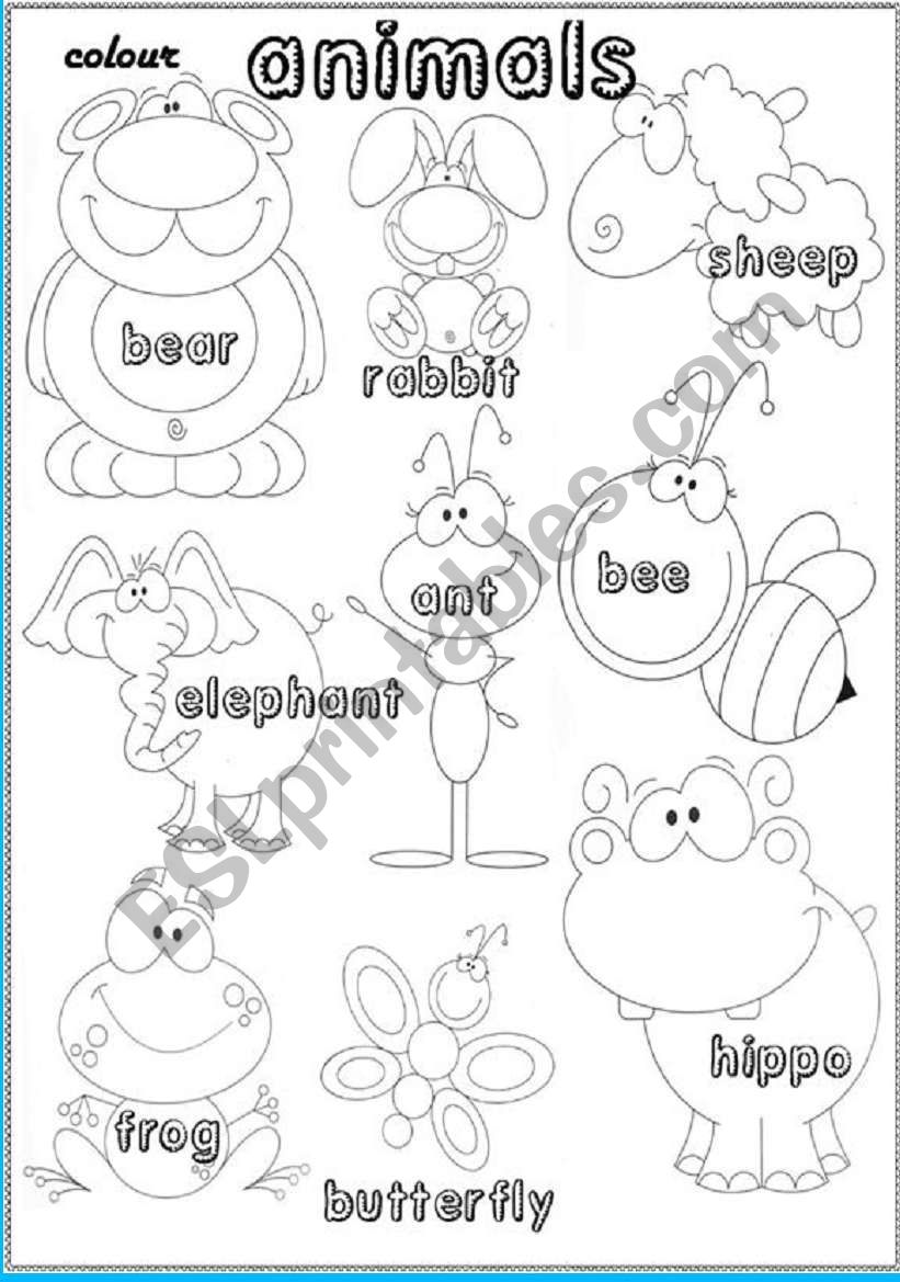 animal pictionary worksheet