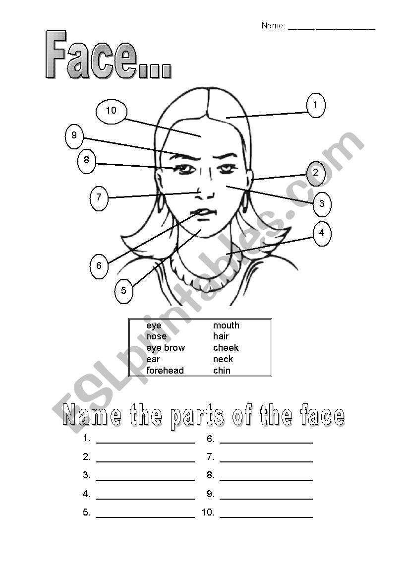 girlsÂ´ face worksheet