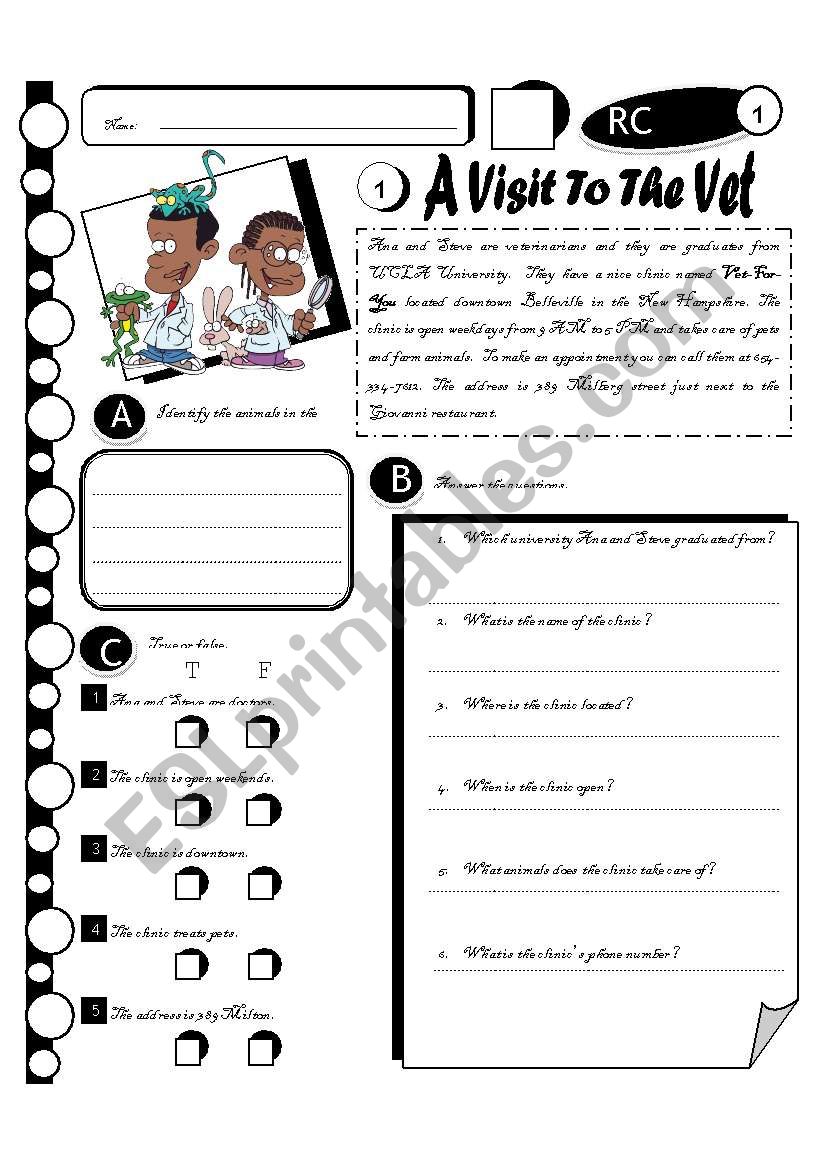 RC Series 01 A Visit To The Vet  (Fully Editable + Answer Key)
