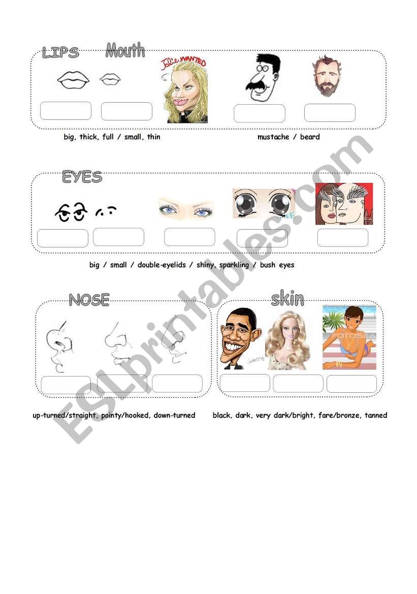 Physical Appearance (2) worksheet