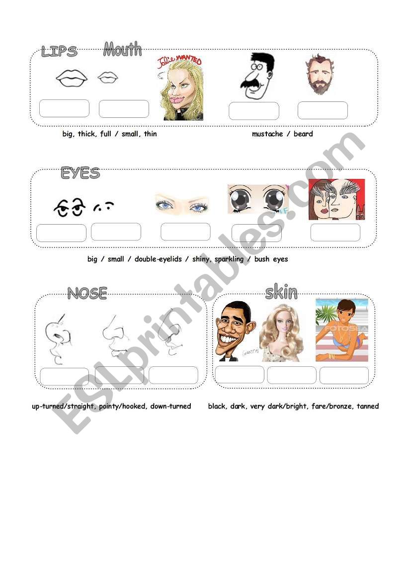 Physical Appearance (2) worksheet