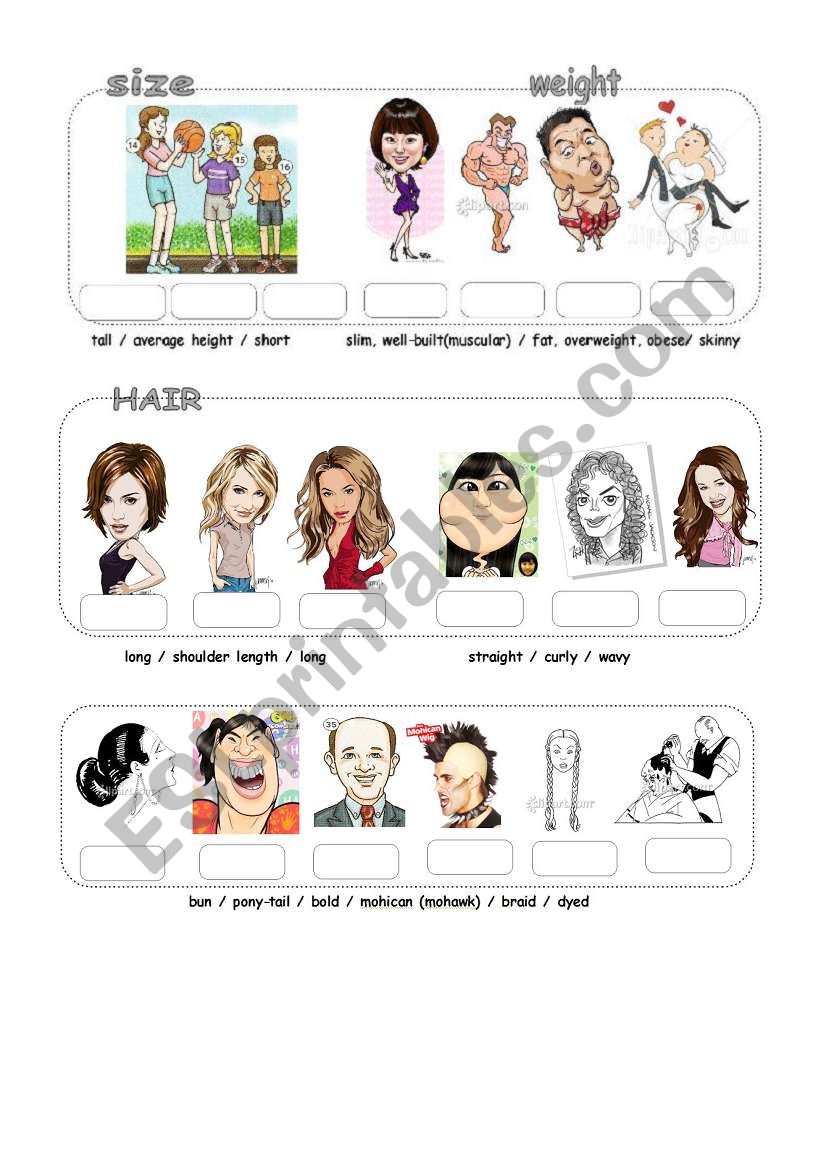 Physical Appearance (3) worksheet