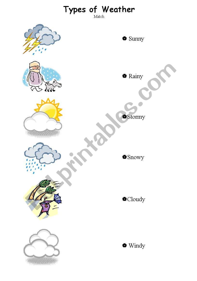 Different Types of Weather worksheet