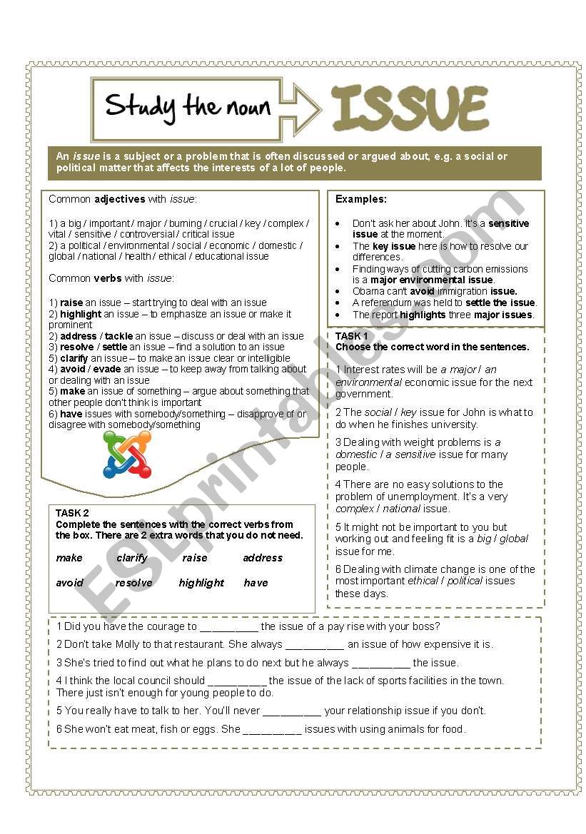 The noun ISSUE worksheet