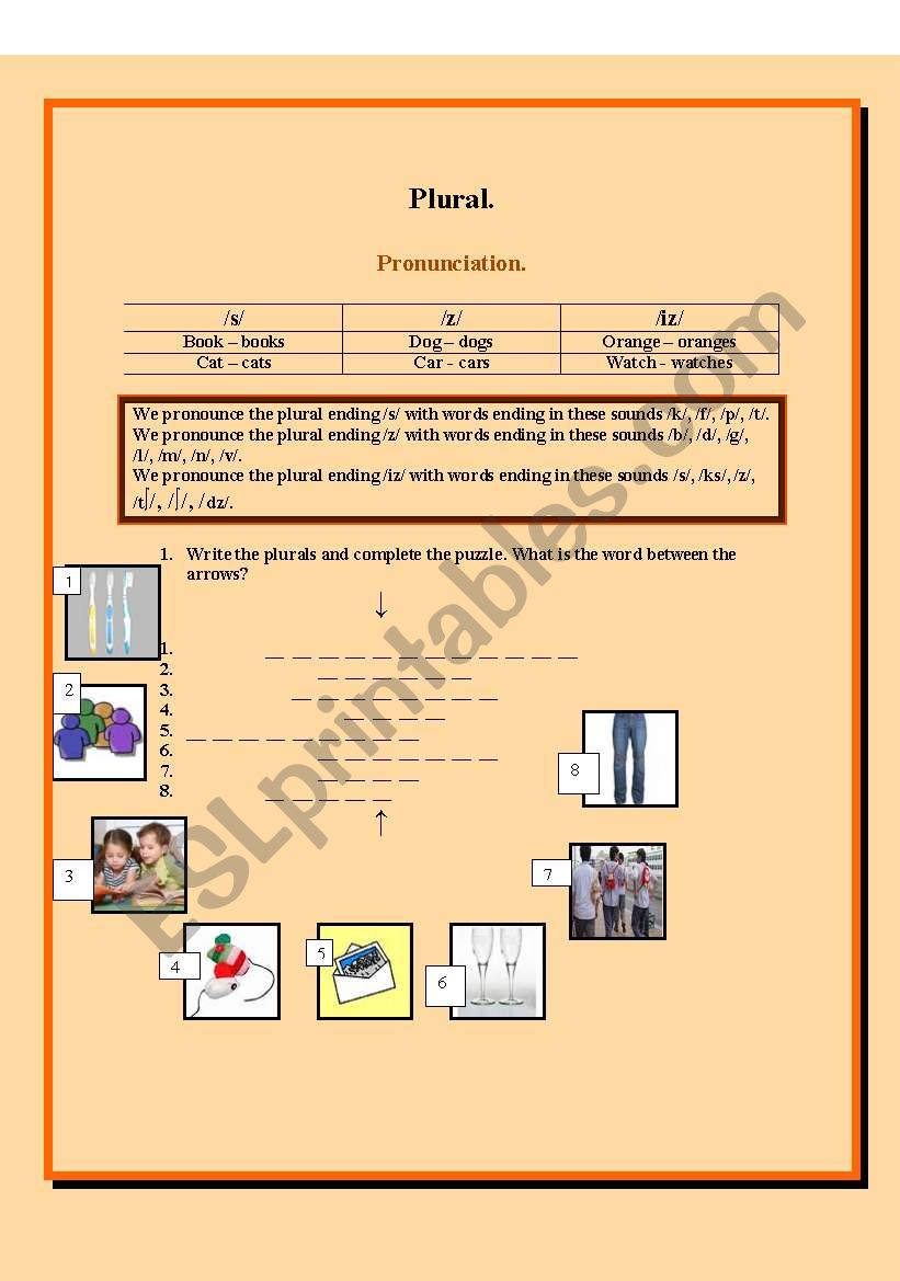 Plurals worksheet