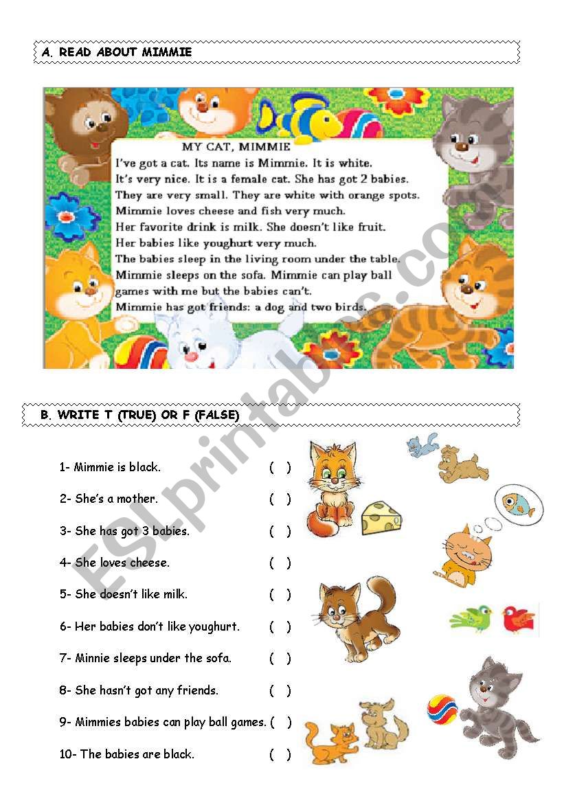 mimi story worksheet