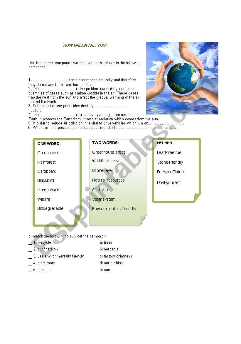 HOW GREEN ARE YOU II worksheet