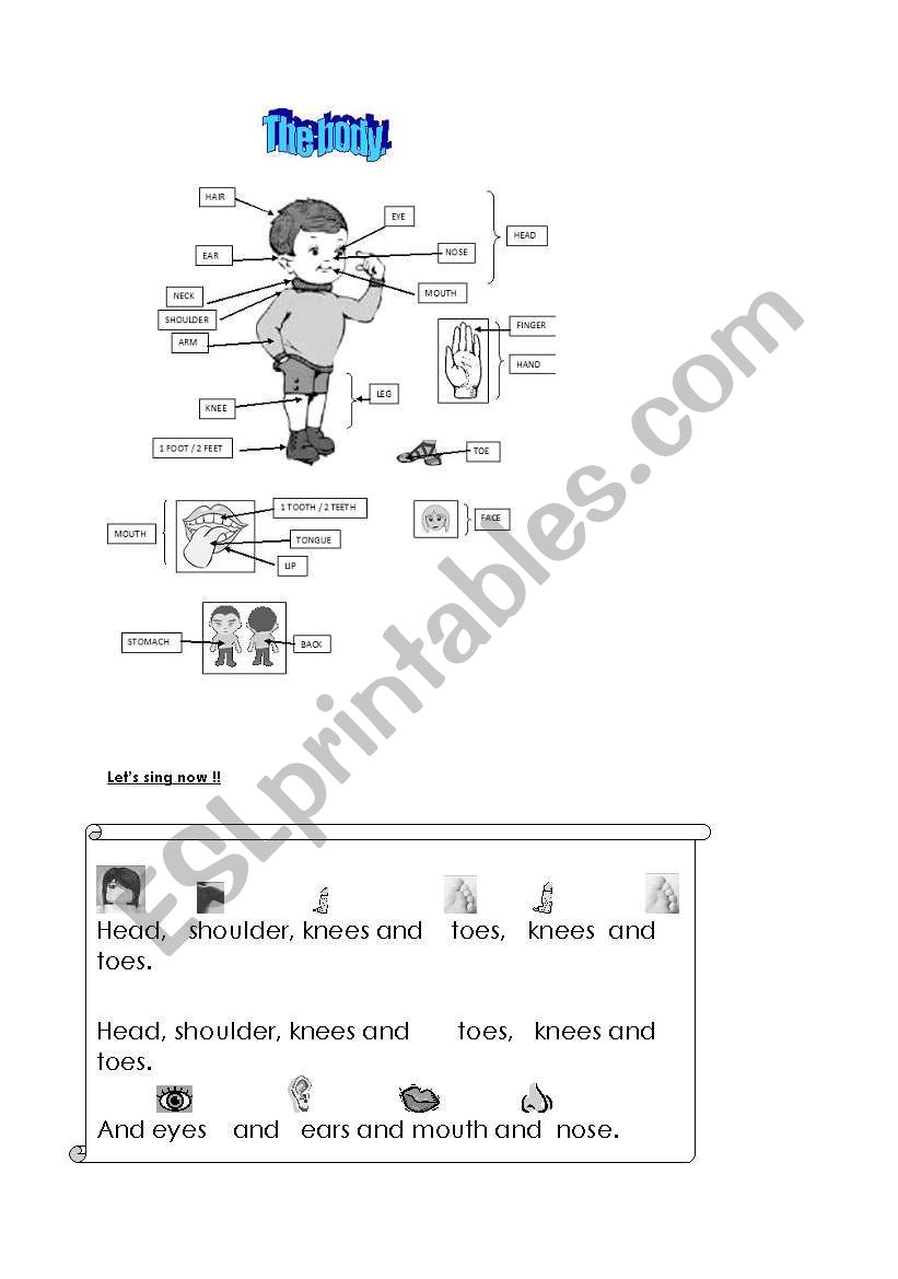 body worksheet