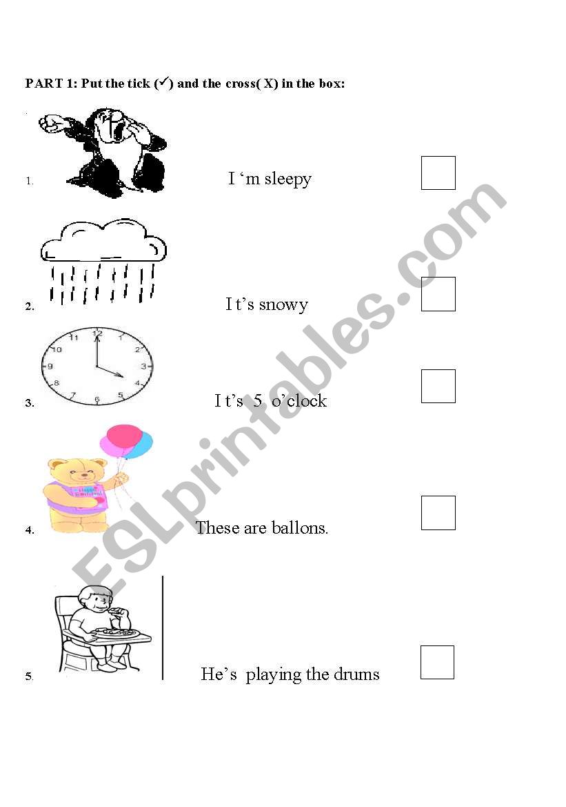 Check True or False worksheet
