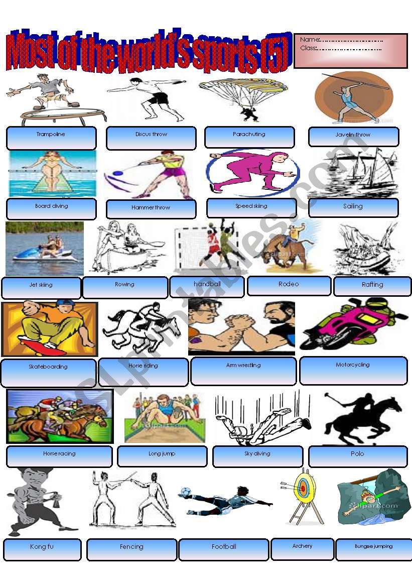 A sport ´s dictionary (part 2) ESL worksheet by tareq