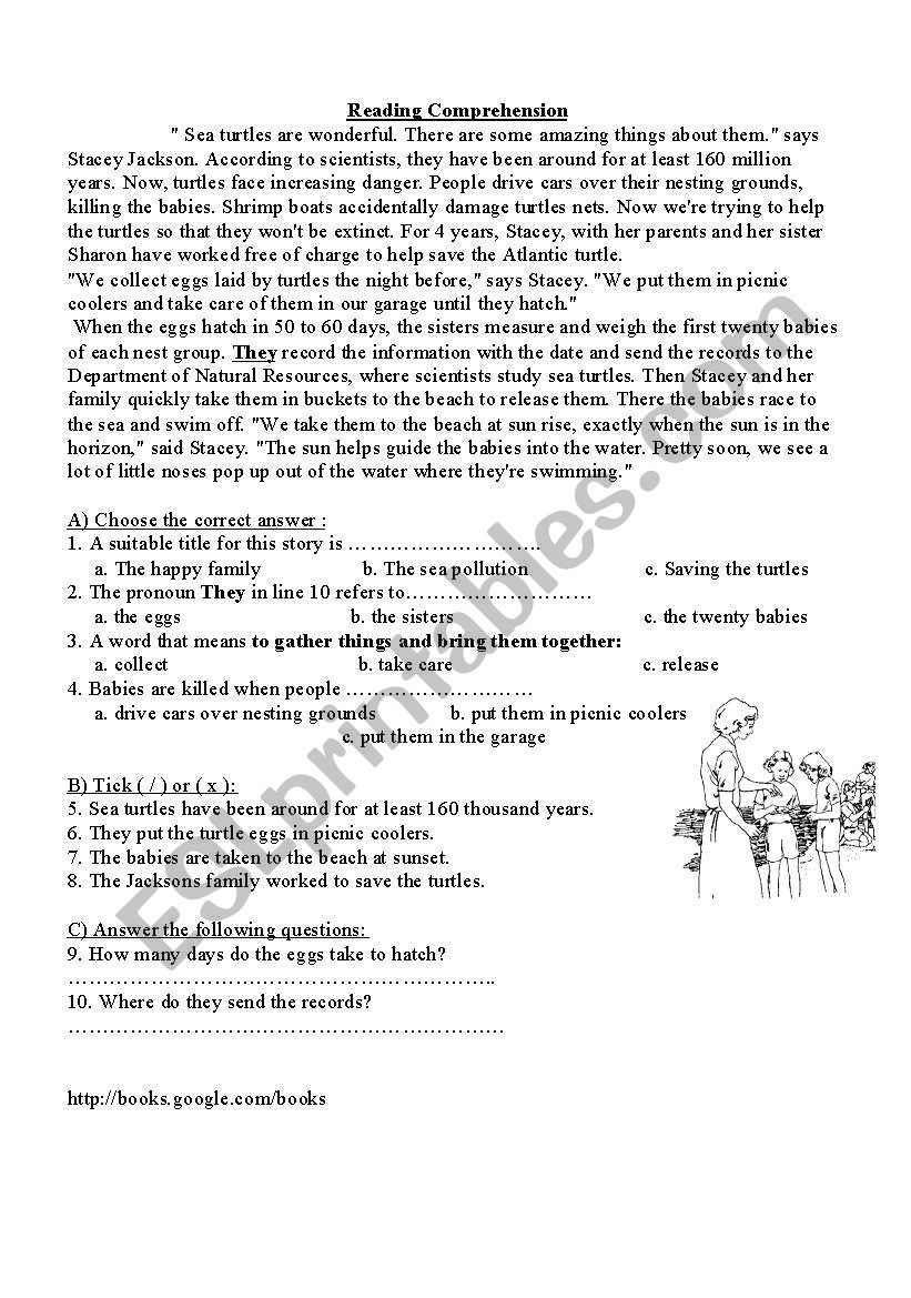 Sea turtles worksheet