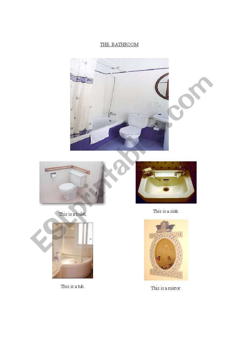 BATHROOM VOCABULARY worksheet