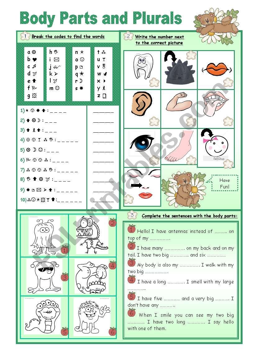 Body Parts and Plurals worksheet