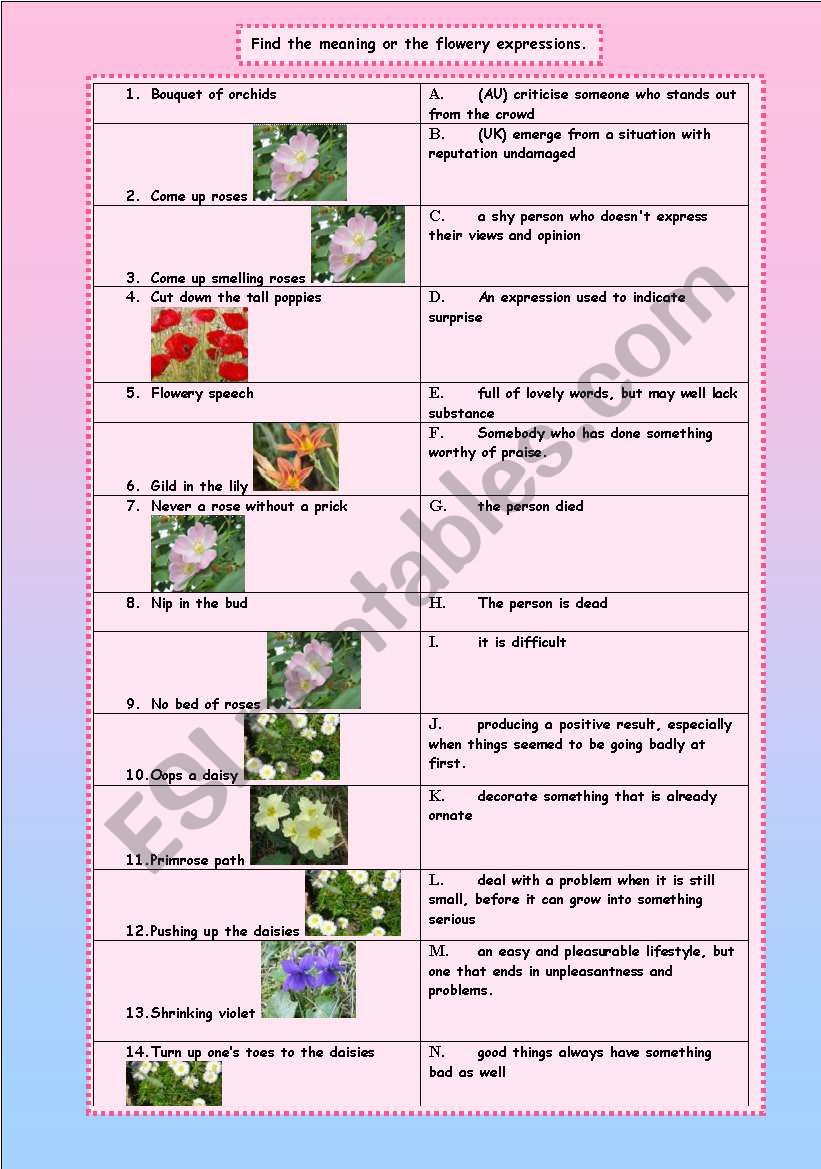 FLOWERY EXPRESSIONS worksheet
