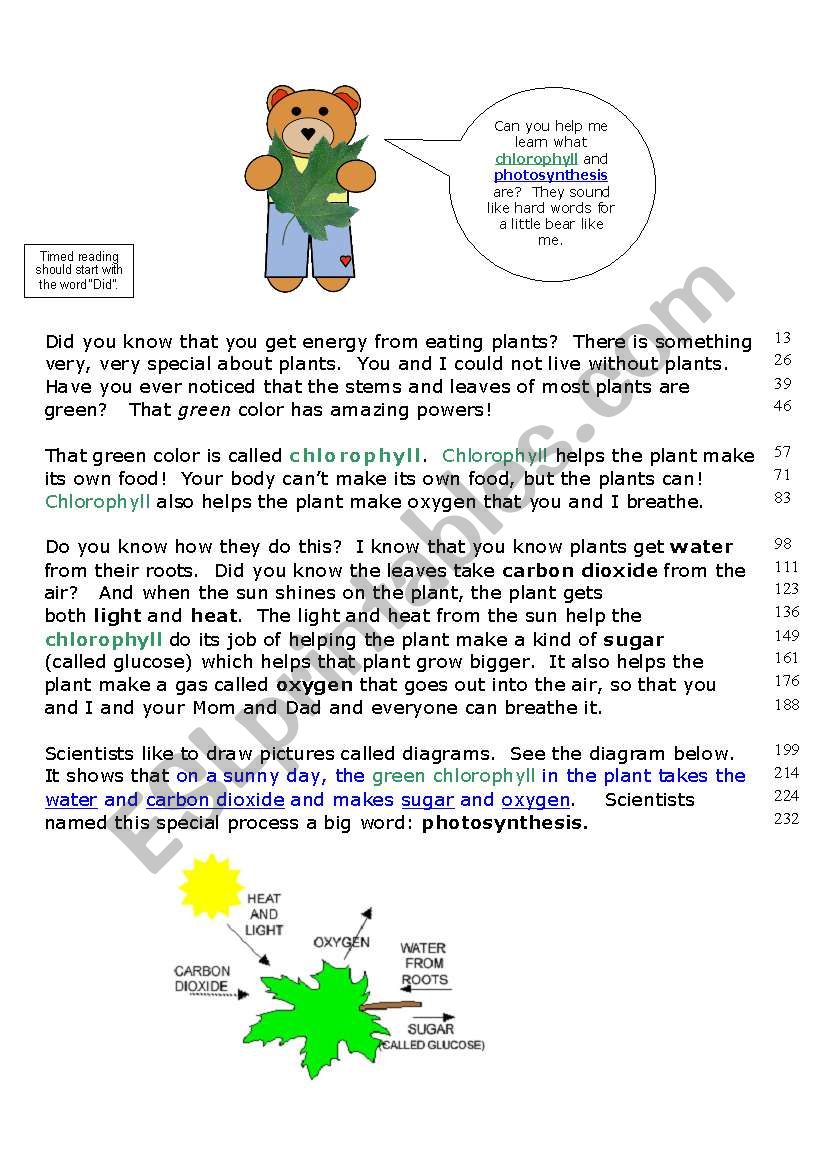 Photosynthesis worksheet