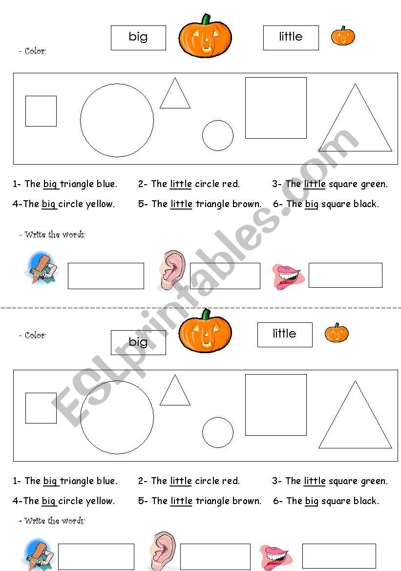 sizes worksheet