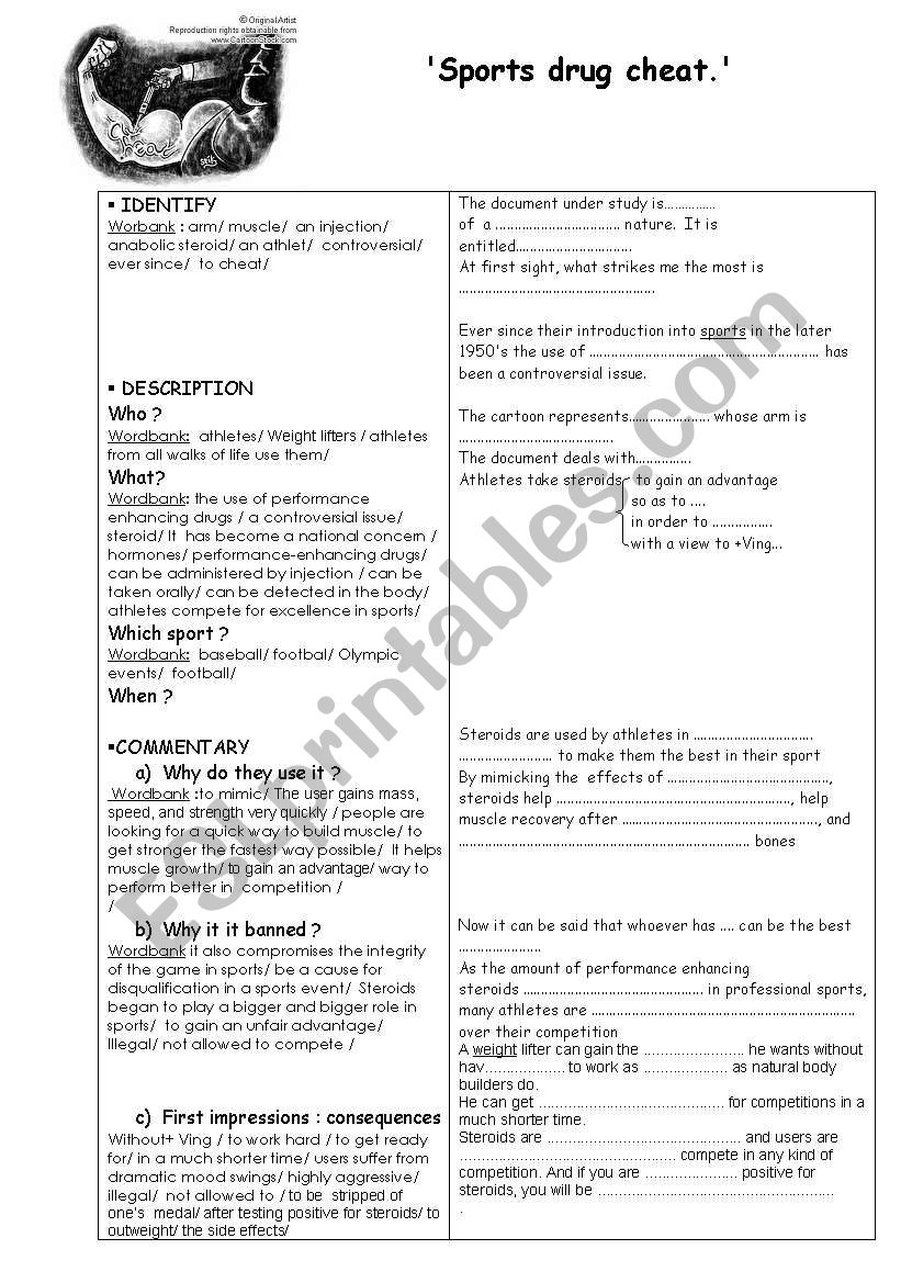 Steroid in sport worksheet