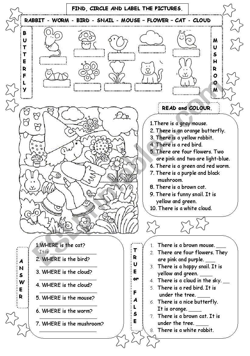 WHERE ARE THESE ANIMALS?? worksheet