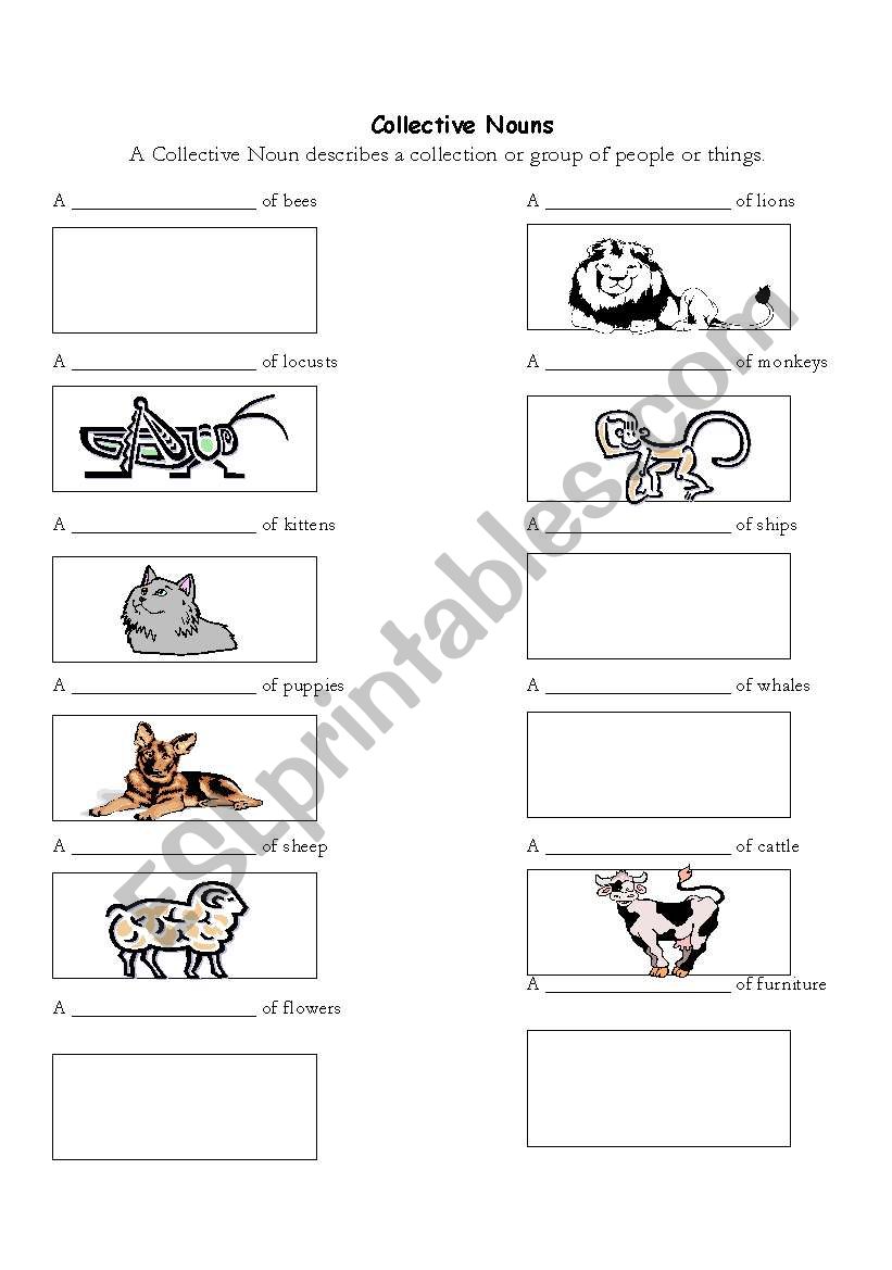 Collective Nouns worksheet