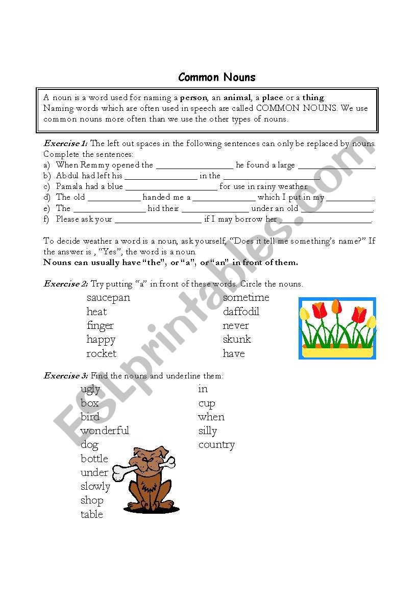 Common nouns worksheet