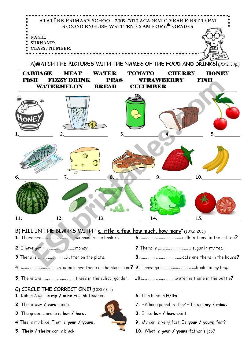 6th grade exam worksheet