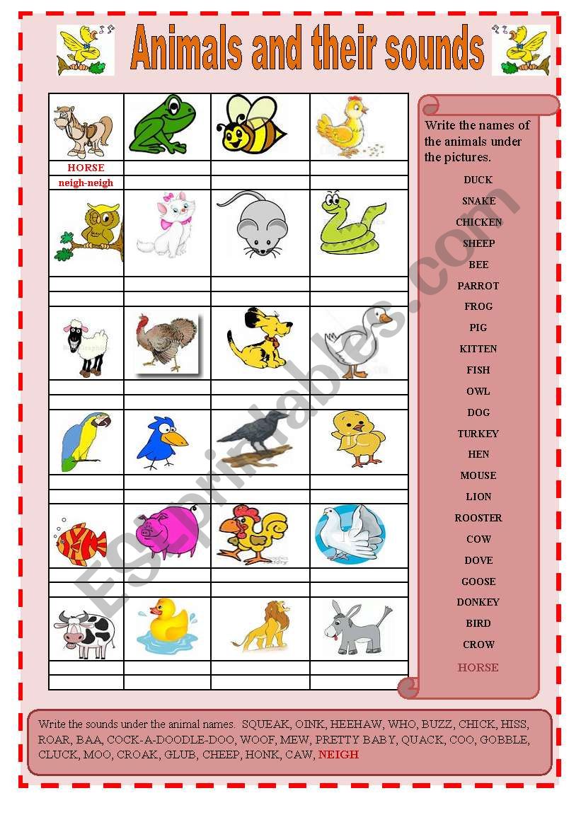 animals and their sounds (editable) - ESL worksheet by 