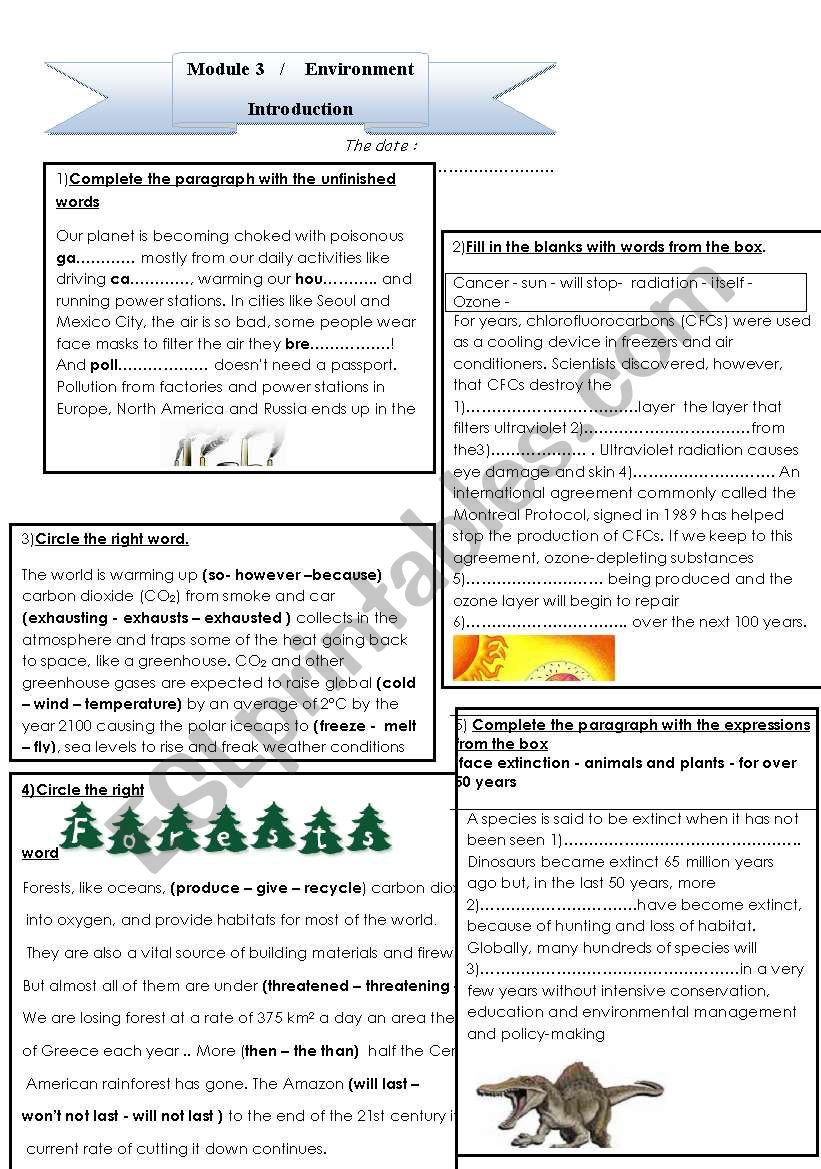 environmental problems worksheet