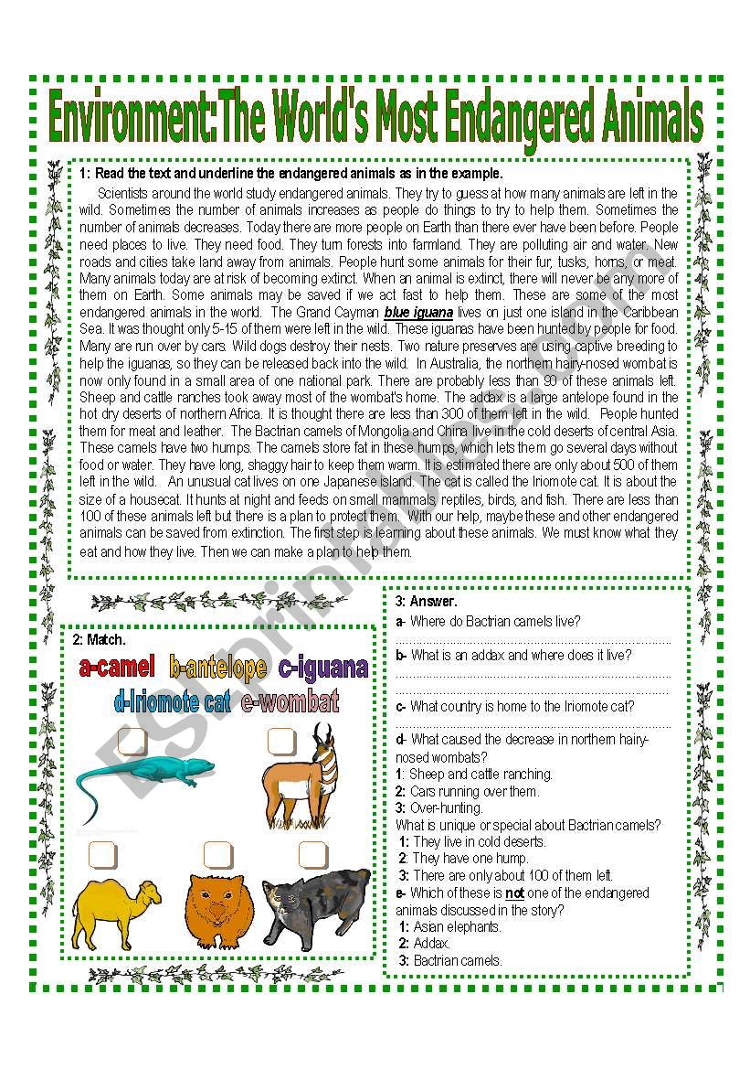 ENVIRONMENT (1/3) The Worlds Most Endangered Animals Reading + Activities   Answer Key -  Elementary 