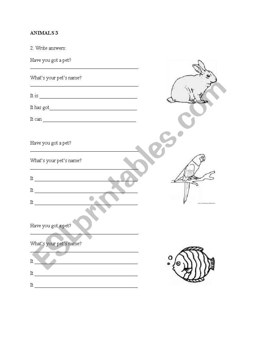 Animals worksheet