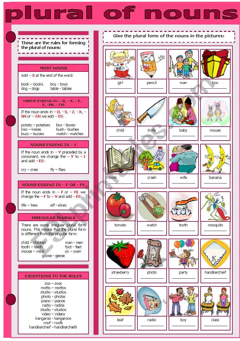 PLURAL OF NOUNS worksheet