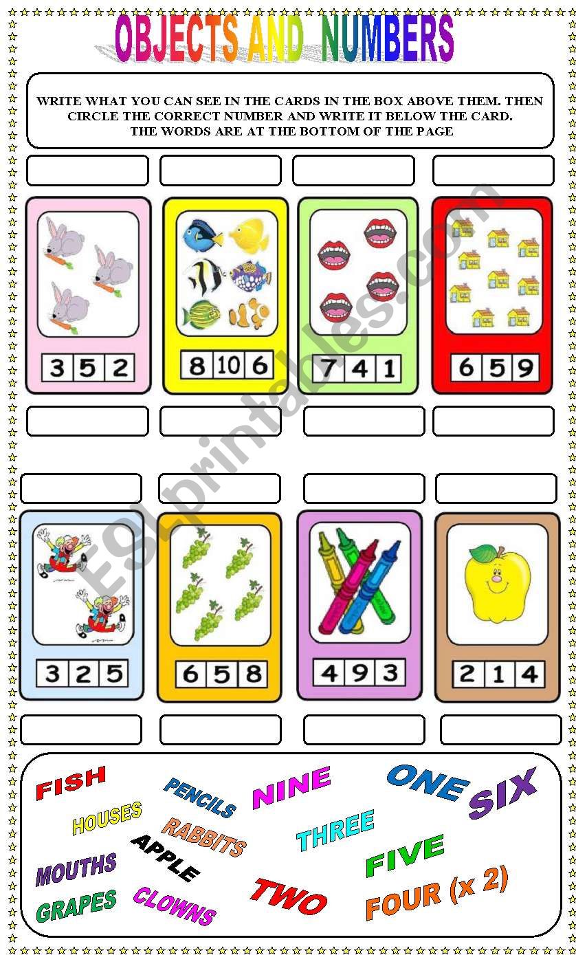 OBJECTS AND NUMBERS worksheet