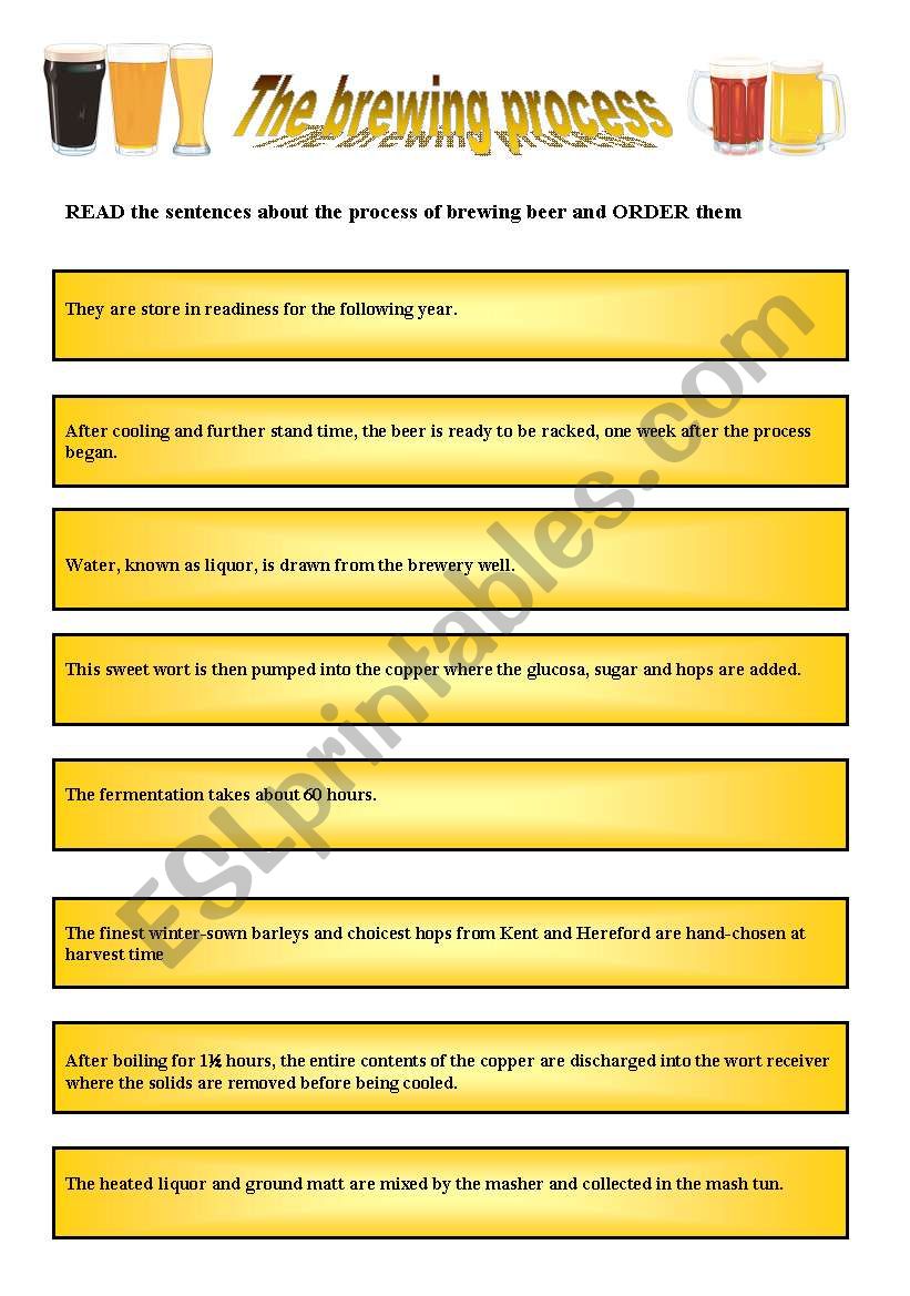 The beer brewing process worksheet