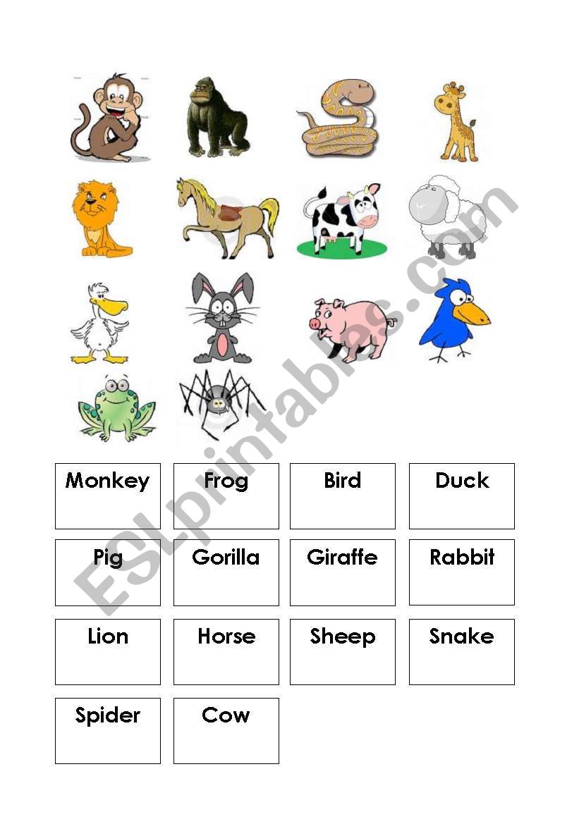 Animal Flashcards worksheet