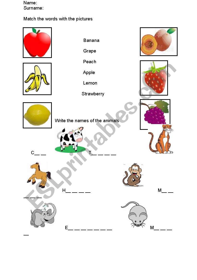 fruits and animals worksheet worksheet