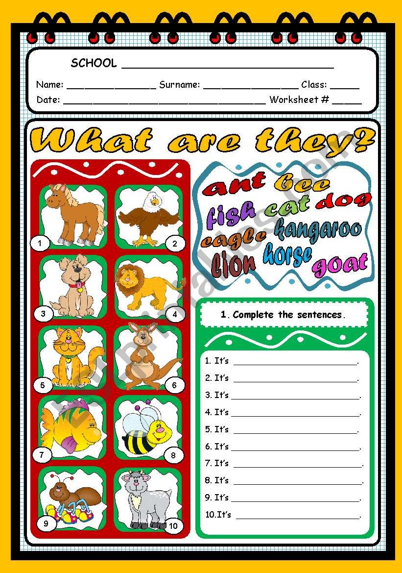 WHAT ARE THEY? (ANIMALS) worksheet