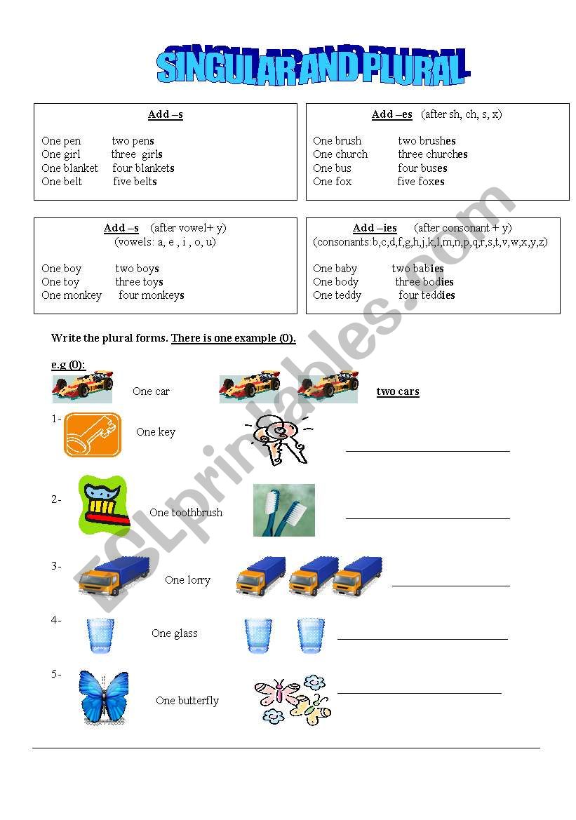 Singular and plural worksheet