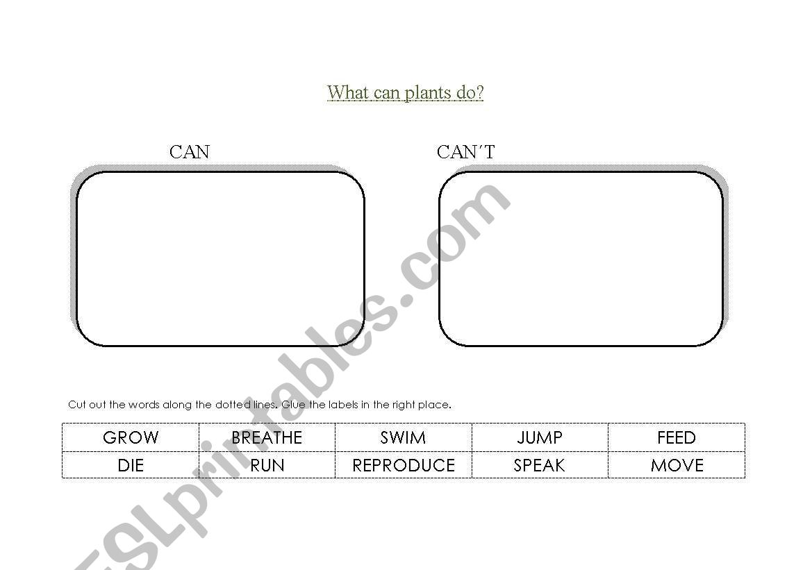 WHAT CAN PLANTS DO? worksheet