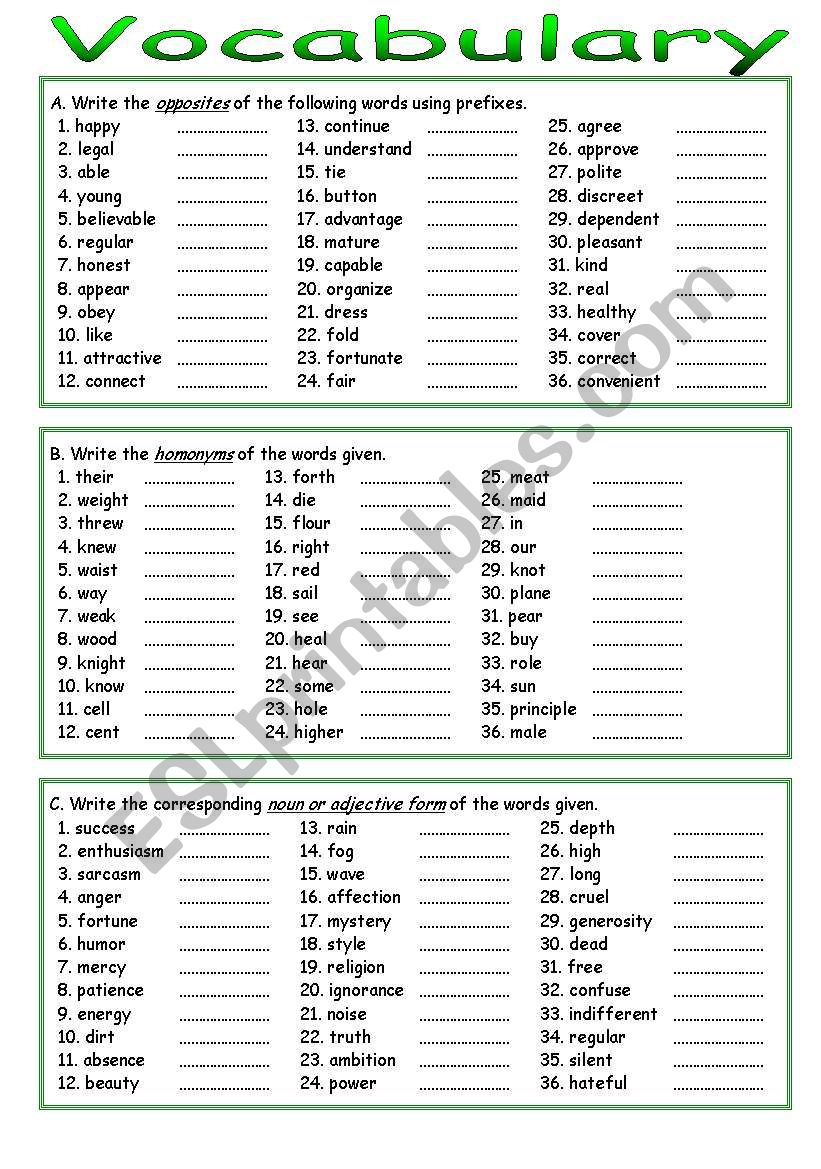 Vocabulary Review worksheet