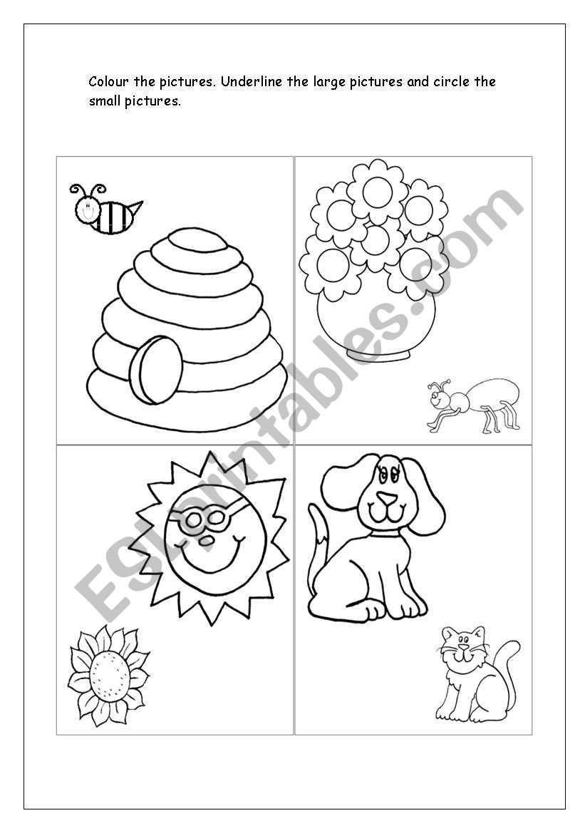 Colour the pictures worksheet