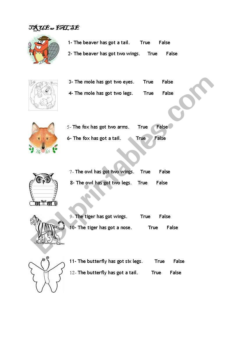 True or False for animals worksheet